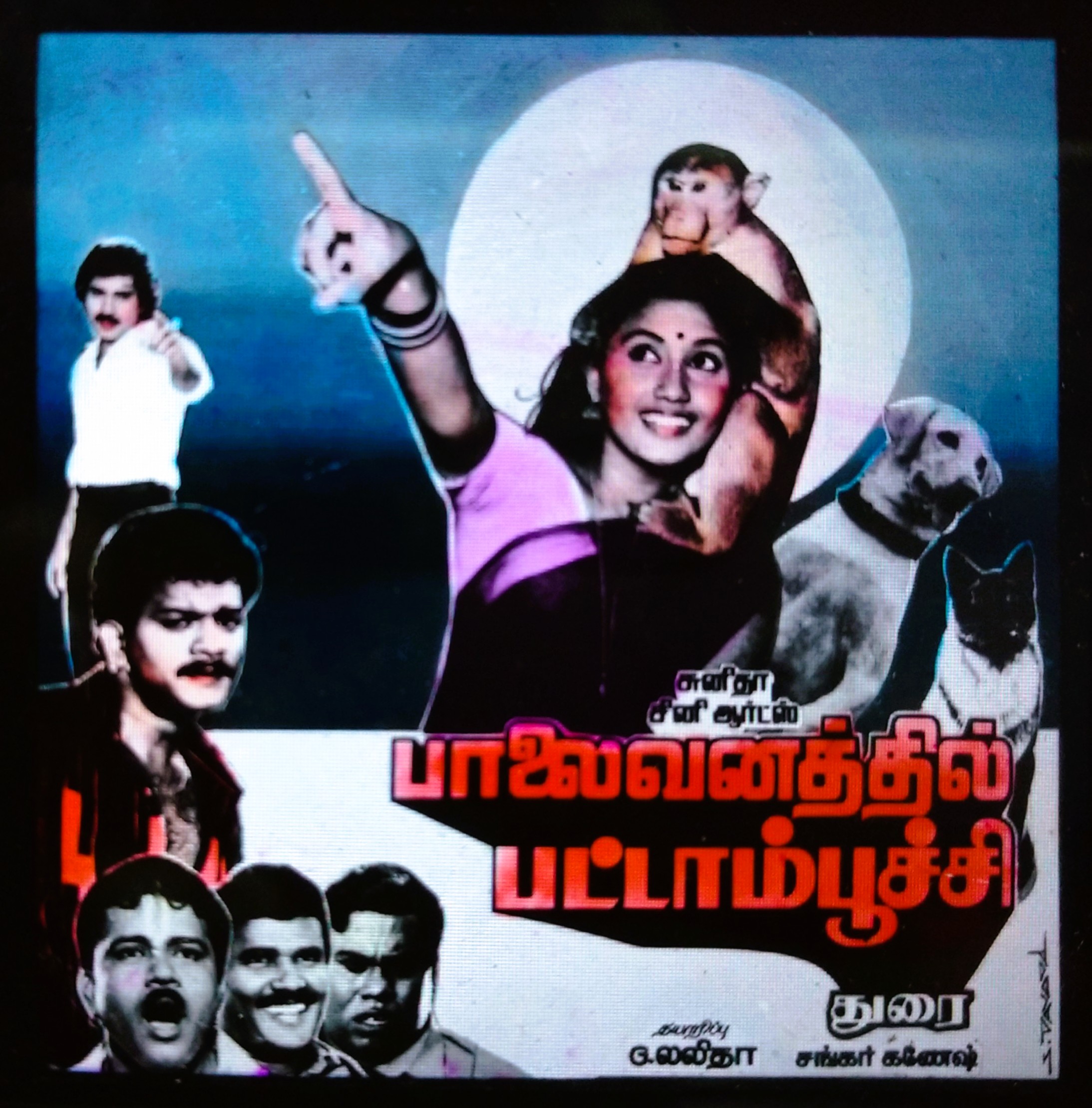Film poster — Palaivanathil Pattampoochi