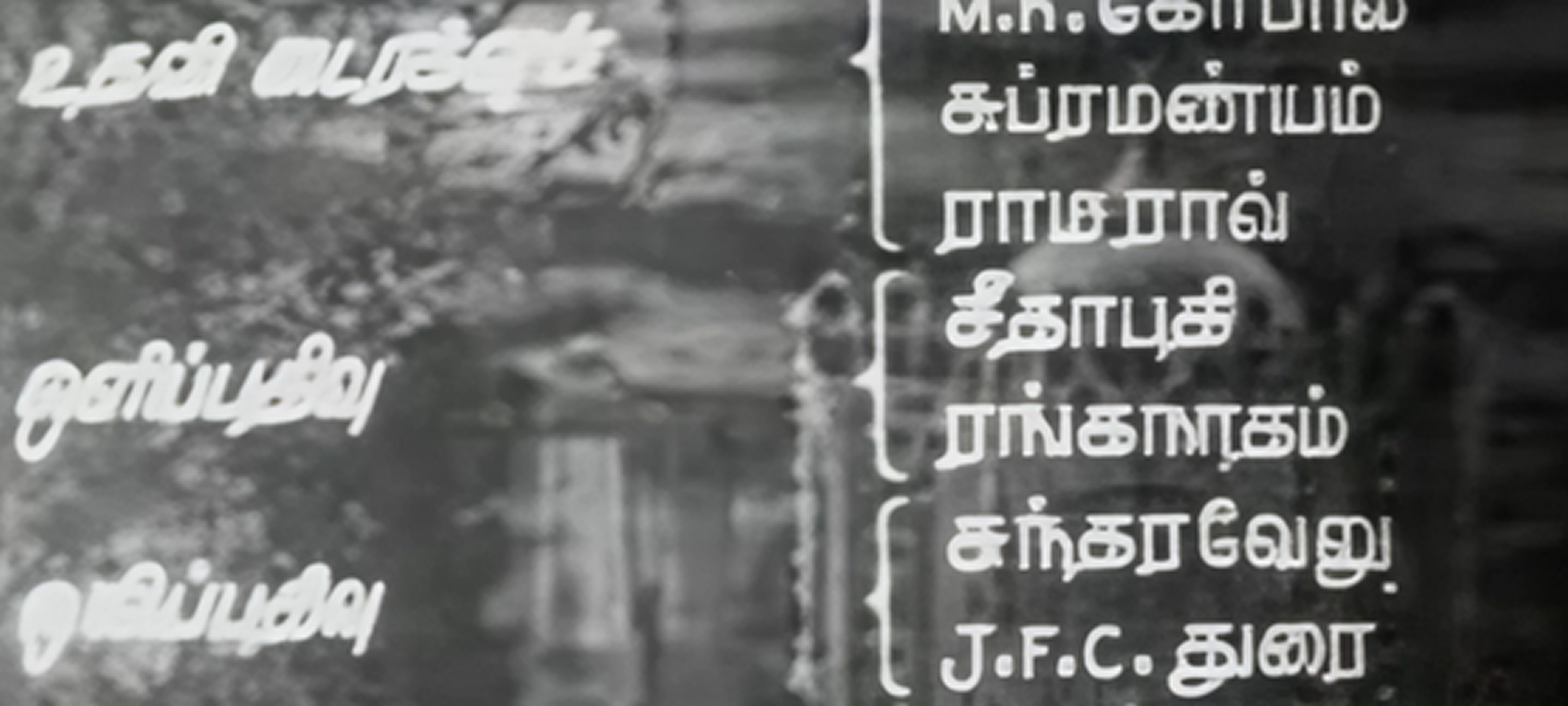 Full width sample image